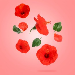 Image of Red hibiscus flowers and green leaves in air on pink background