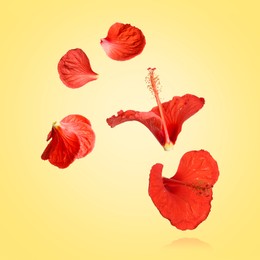 Image of Red hibiscus flowers in air on yellow background