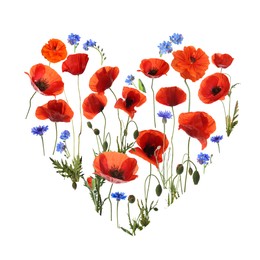 Image of Heart made of meadow flowers on white gradient background