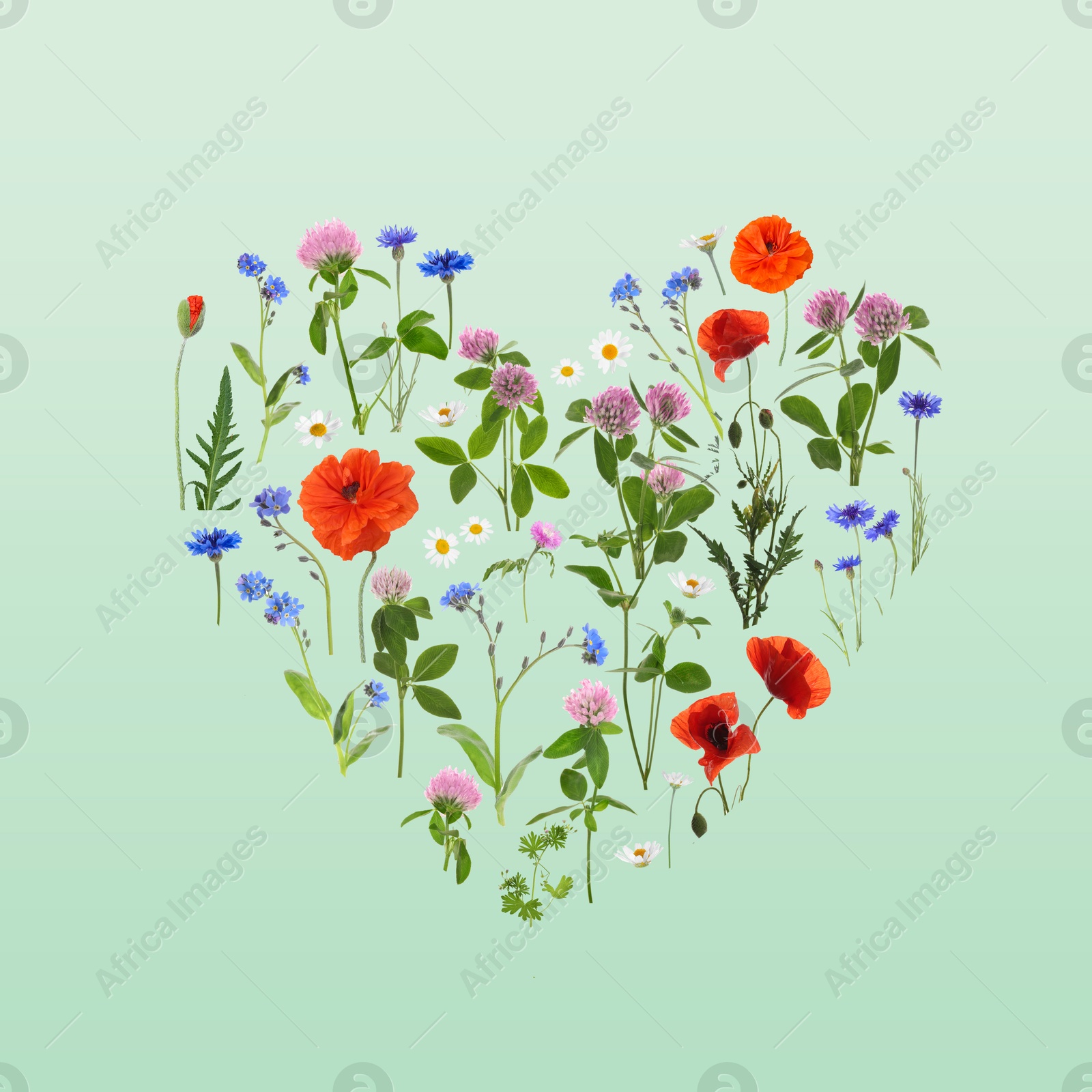 Image of Heart made of meadow flowers on aquamarine gradient background