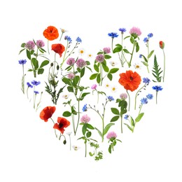 Image of Heart made of meadow flowers on white gradient background