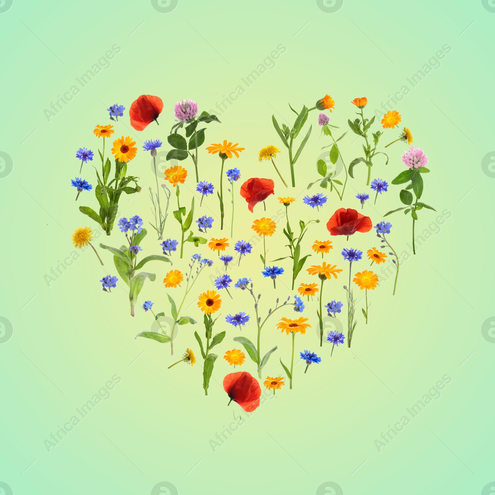 Image of Heart made of meadow flowers on aquamarine gradient background