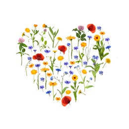 Image of Heart made of meadow flowers on white gradient background