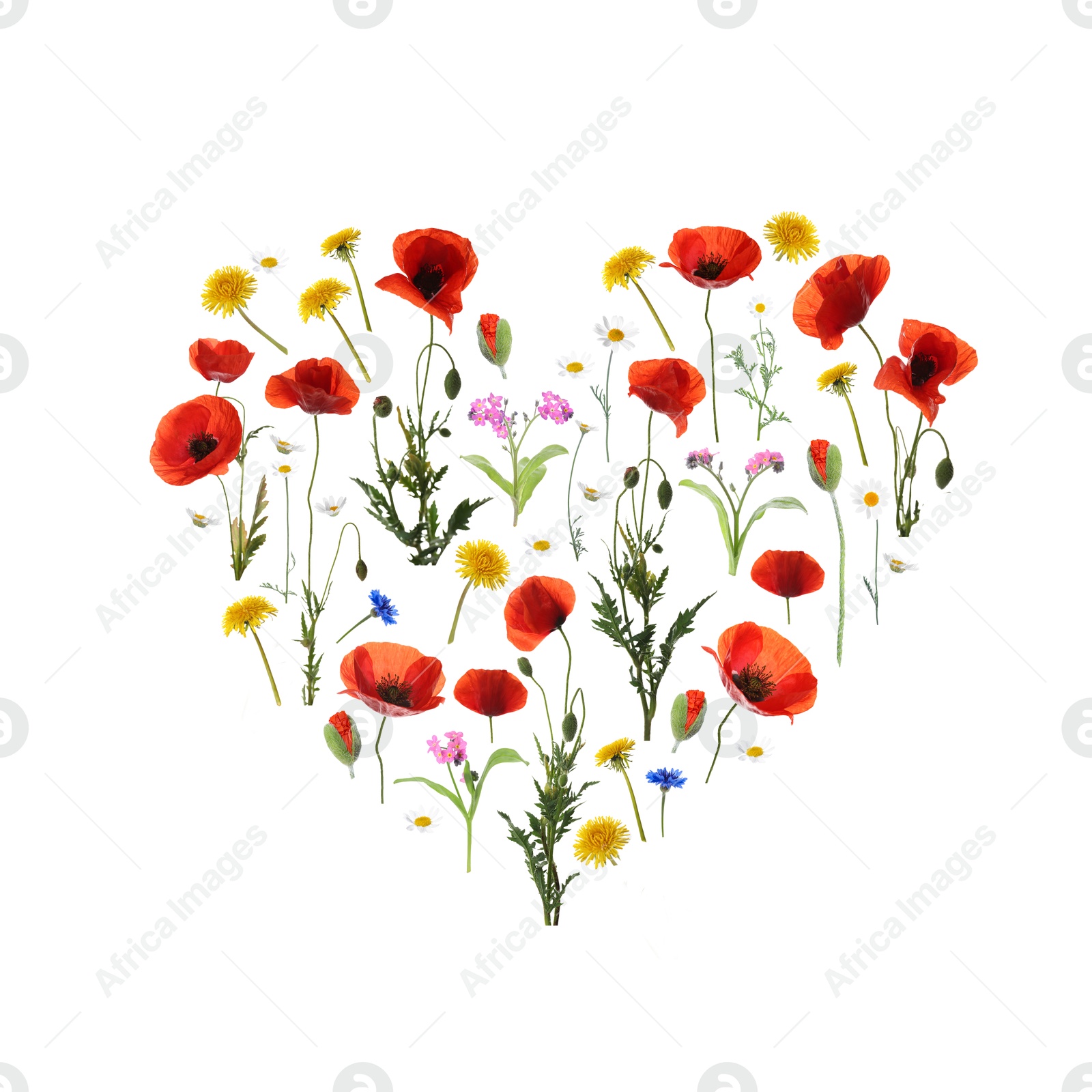 Image of Heart made of meadow flowers on white gradient background