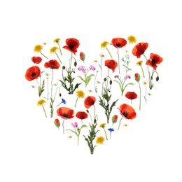 Image of Heart made of meadow flowers on white gradient background