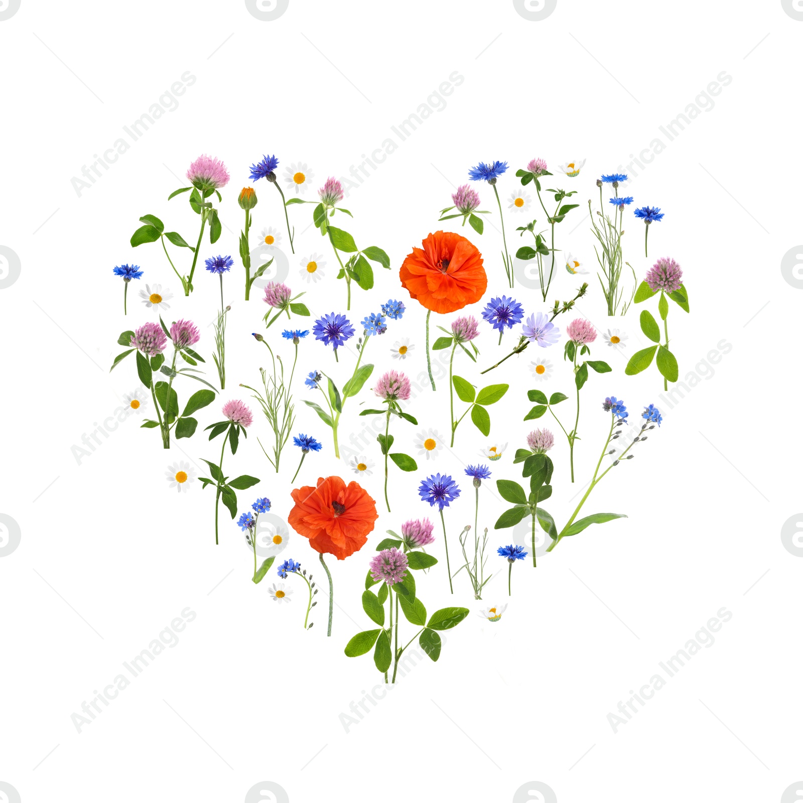 Image of Heart made of meadow flowers on white gradient background