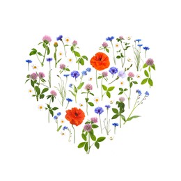 Image of Heart made of meadow flowers on white gradient background