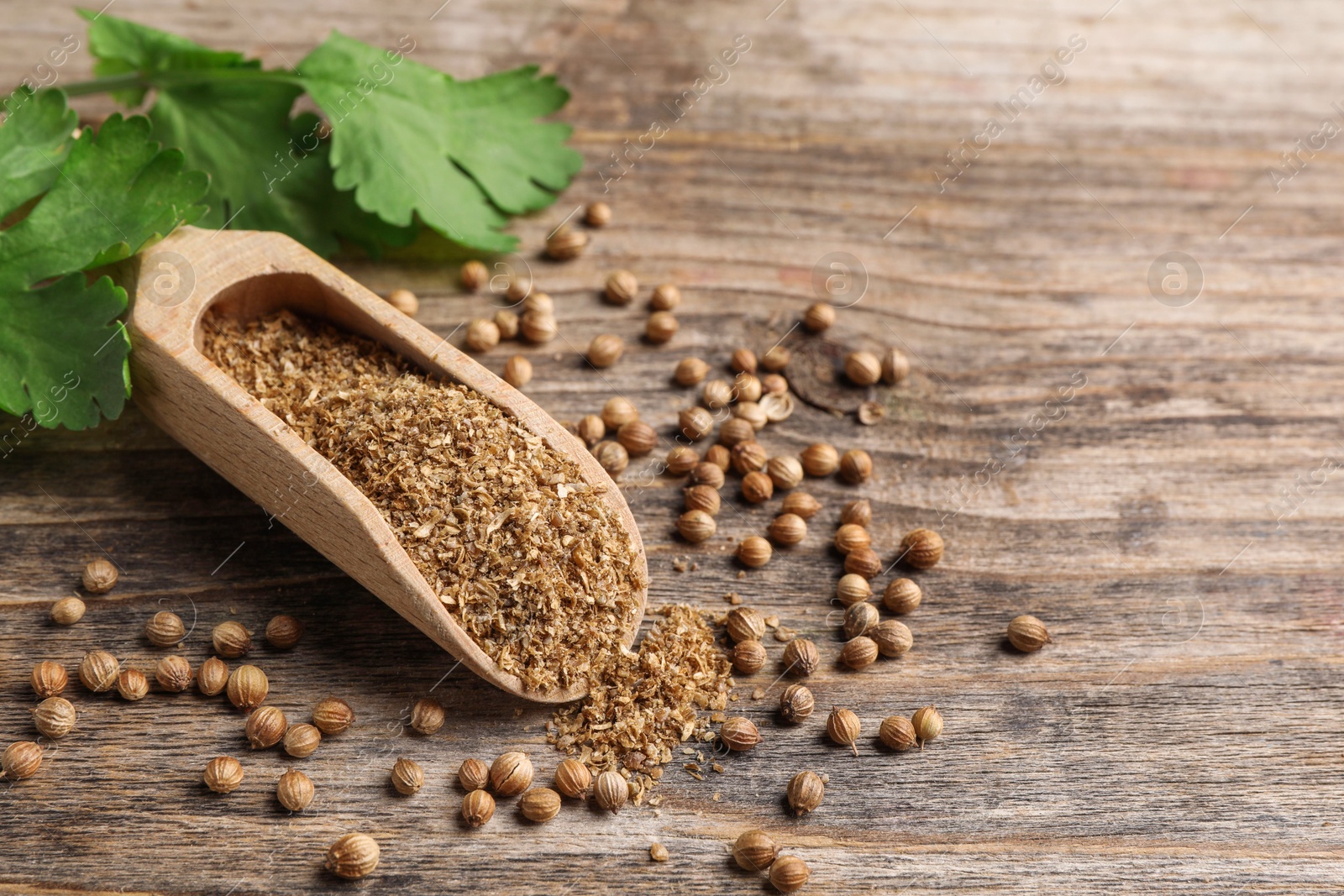 Photo of Coriander powder in scoop, seeds and green leaves on wooden table. Space for text