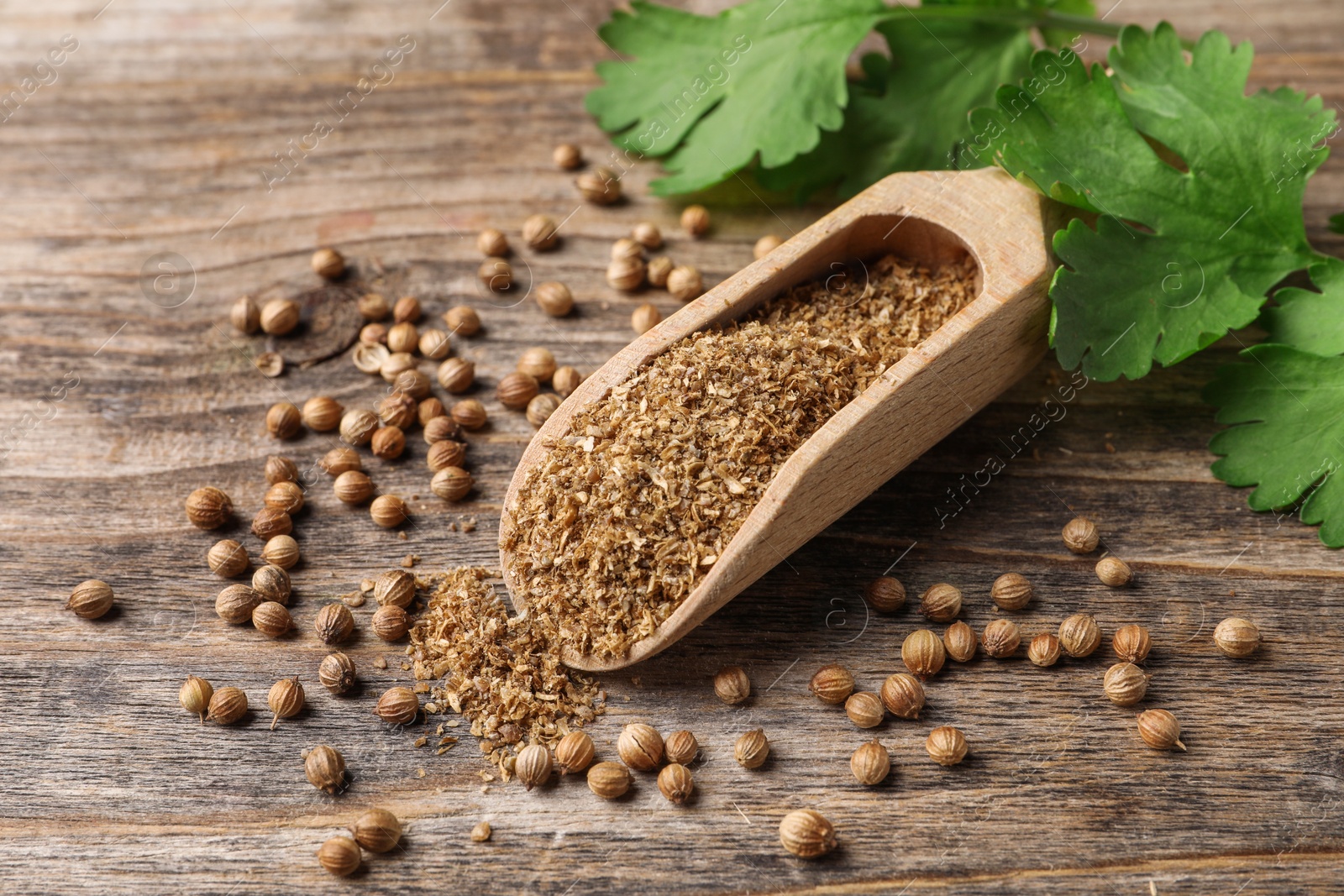 Photo of Coriander powder in scoop, seeds and green leaves on wooden table