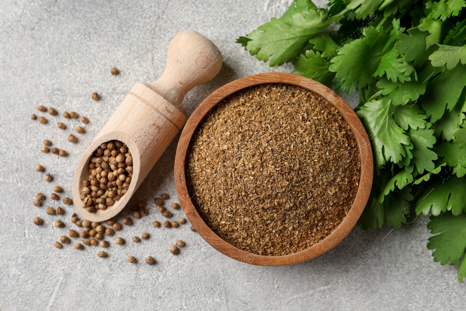 Photo of Coriander powder in bowl, seeds and green leaves on light grey table, top view