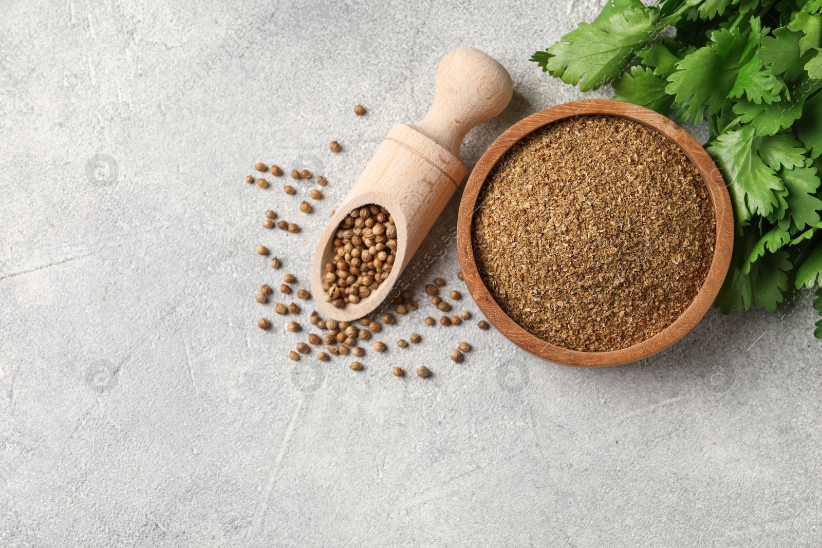 Photo of Coriander powder in bowl, seeds and green leaves on light grey table, top view. Space for text