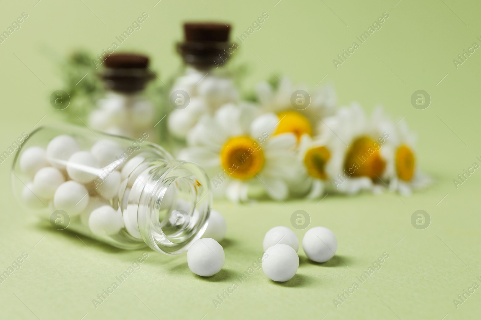 Photo of Bottles with homeopathic remedy and chamomiles on light green background, closeup