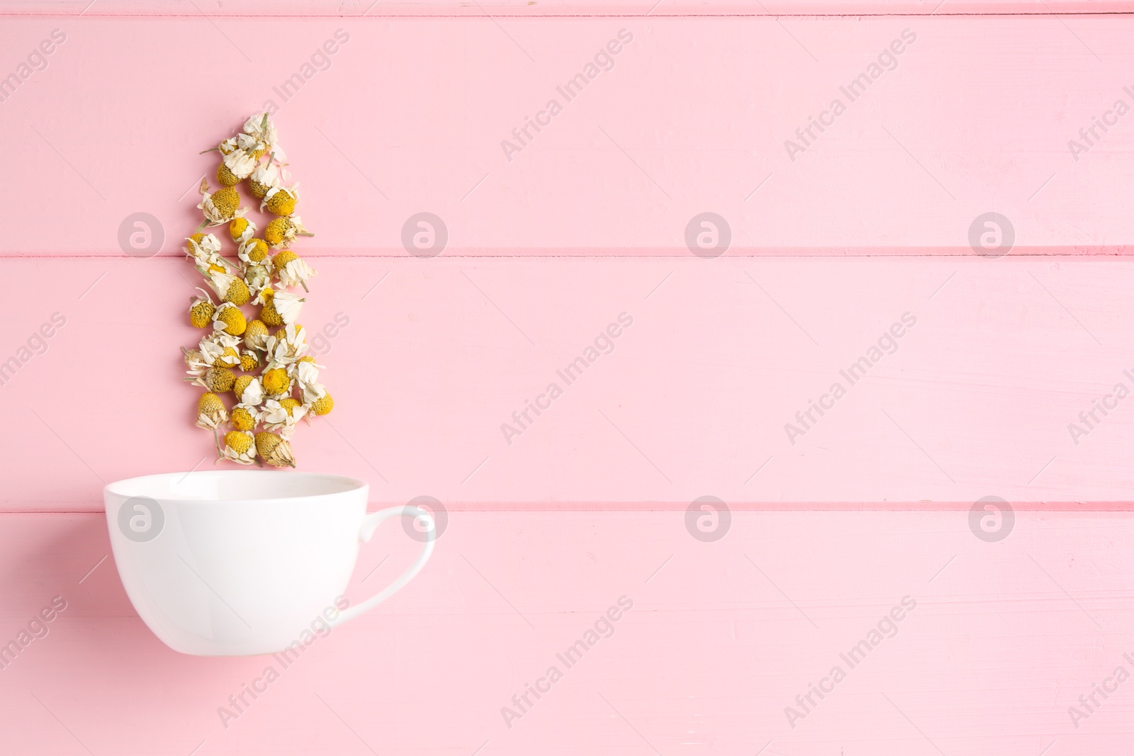 Photo of Chamomile flowers and white cup on pink wooden table, top view. Space for text