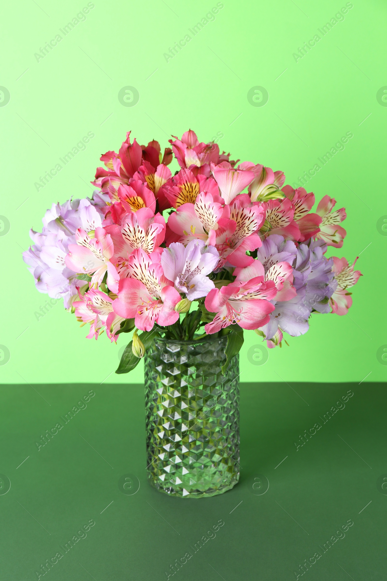 Photo of Beautiful alstroemeria flowers in vase on green background