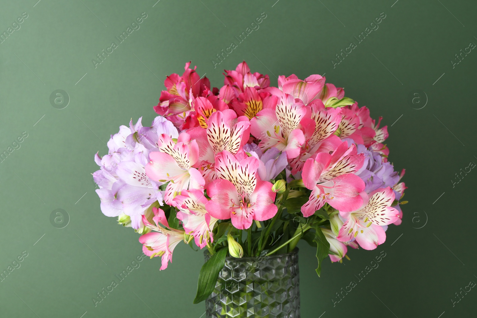 Photo of Beautiful alstroemeria flowers in vase on green background, closeup