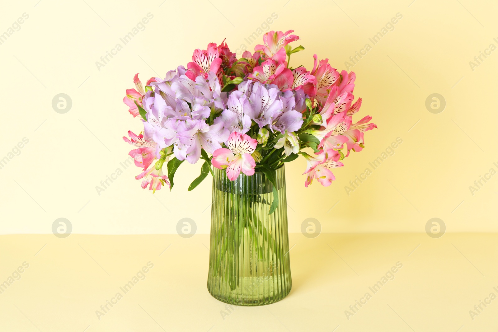 Photo of Beautiful alstroemeria flowers in vase on beige background