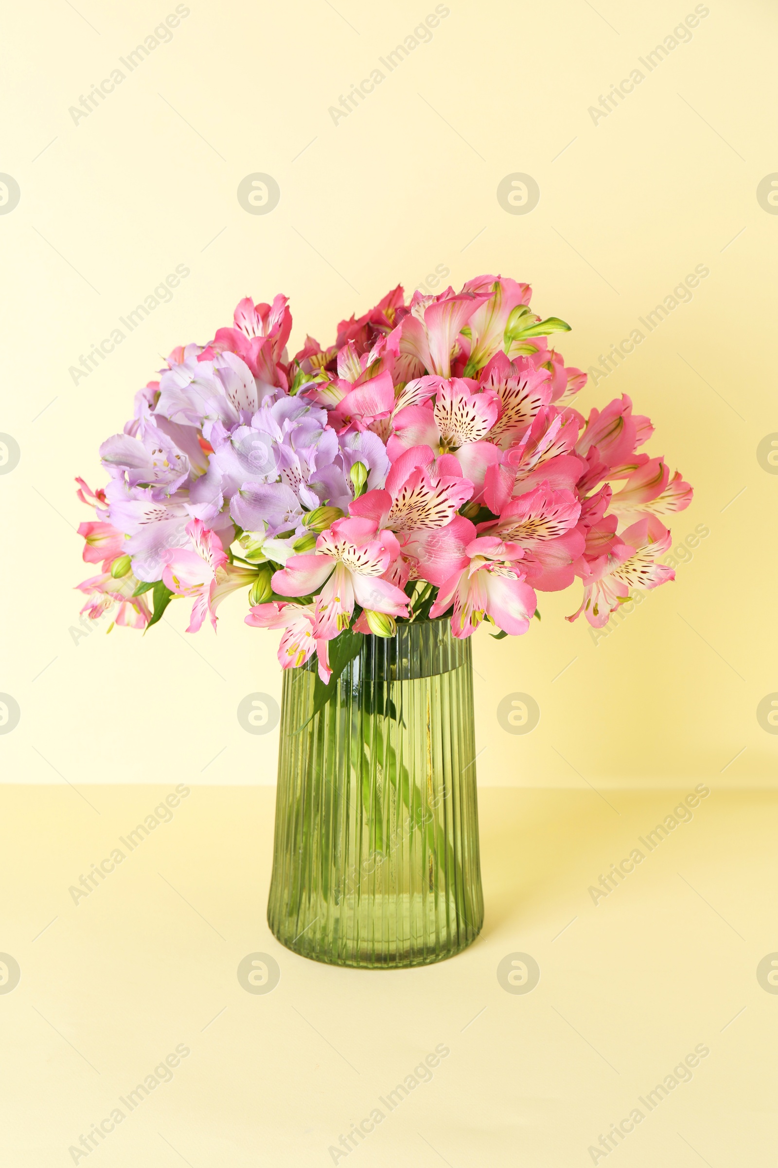 Photo of Beautiful alstroemeria flowers in vase on beige background