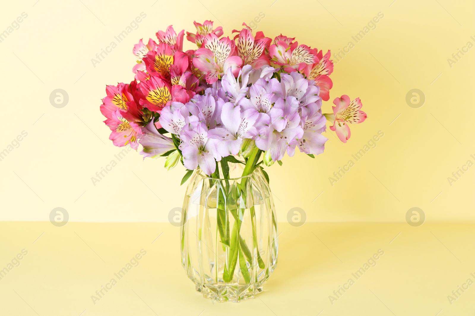 Photo of Beautiful alstroemeria flowers in vase on beige background