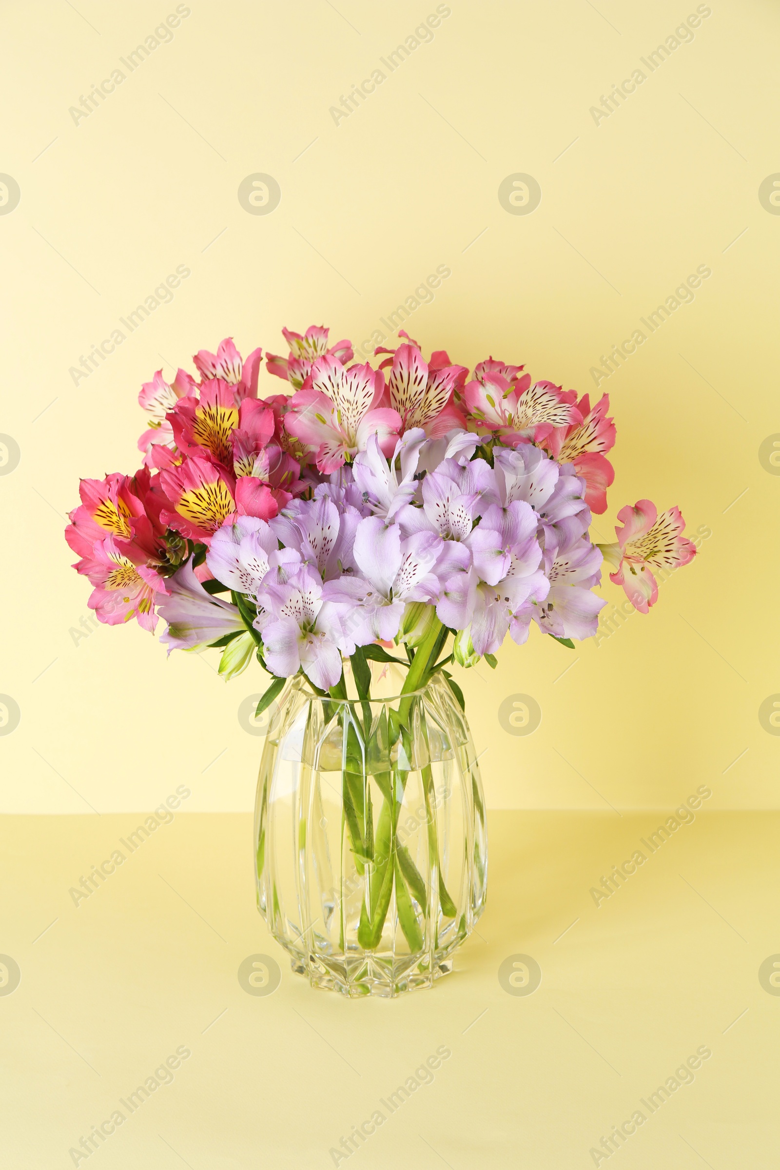 Photo of Beautiful alstroemeria flowers in vase on beige background