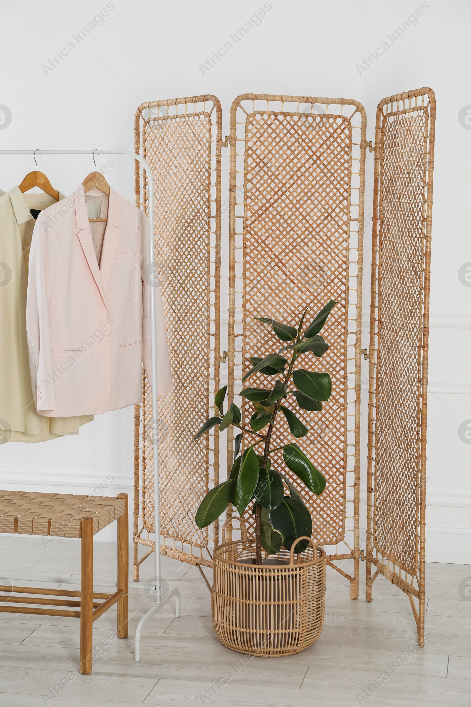 Photo of Folding screen, rack with clothes, storage bench and houseplant near white wall indoors