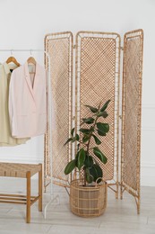 Photo of Folding screen, rack with clothes, storage bench and houseplant near white wall indoors