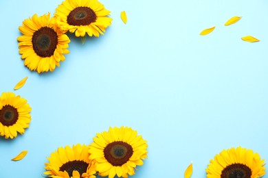 Sunflower heads and petals on light blue background, flat lay. Space for text