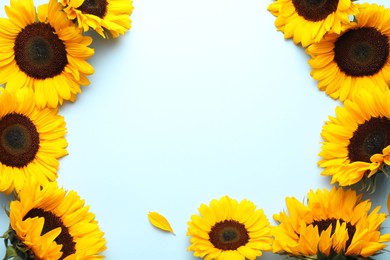 Sunflower heads on light blue background, flat lay. Space for text