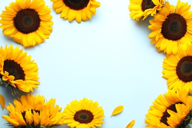 Photo of Sunflower heads and petals on light blue background, flat lay. Space for text