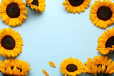 Photo of Sunflower heads and petals on light blue background, flat lay. Space for text