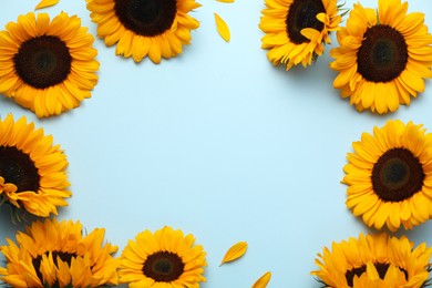 Sunflower heads and petals on light blue background, flat lay. Space for text