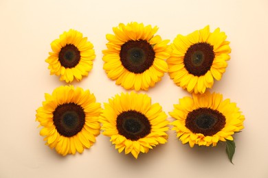 Photo of Sunflower heads on beige background, flat lay