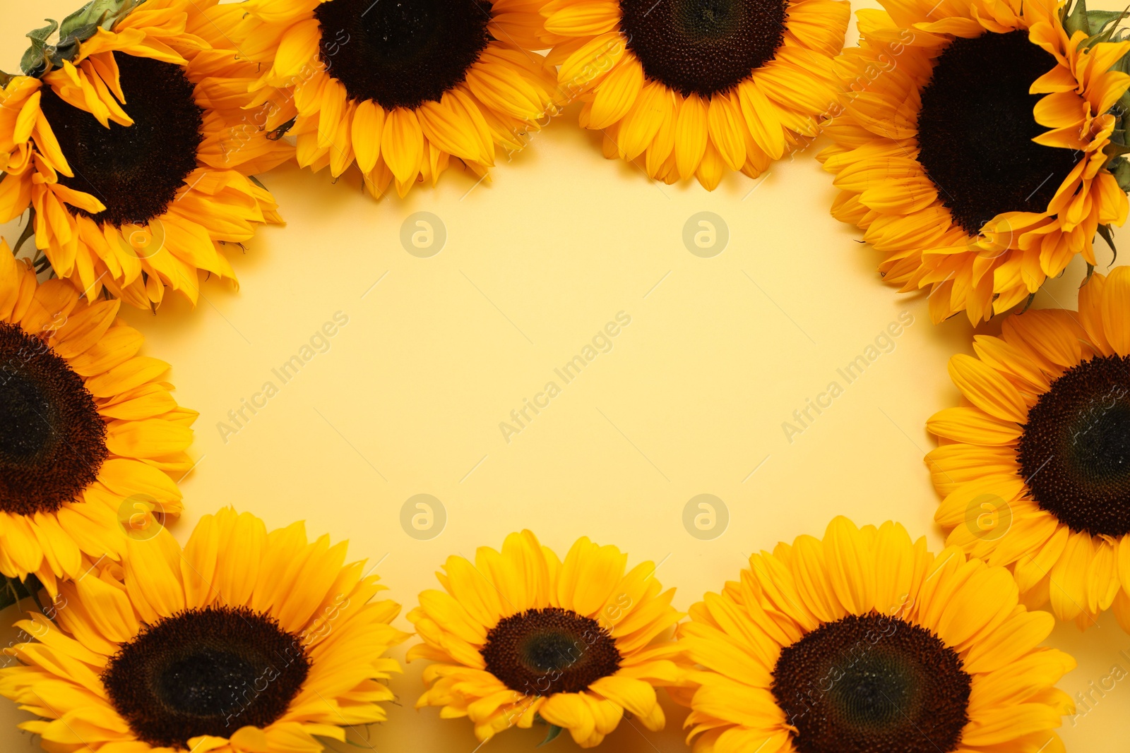 Photo of Frame made of sunflower heads on yellow background, flat lay. Space for text