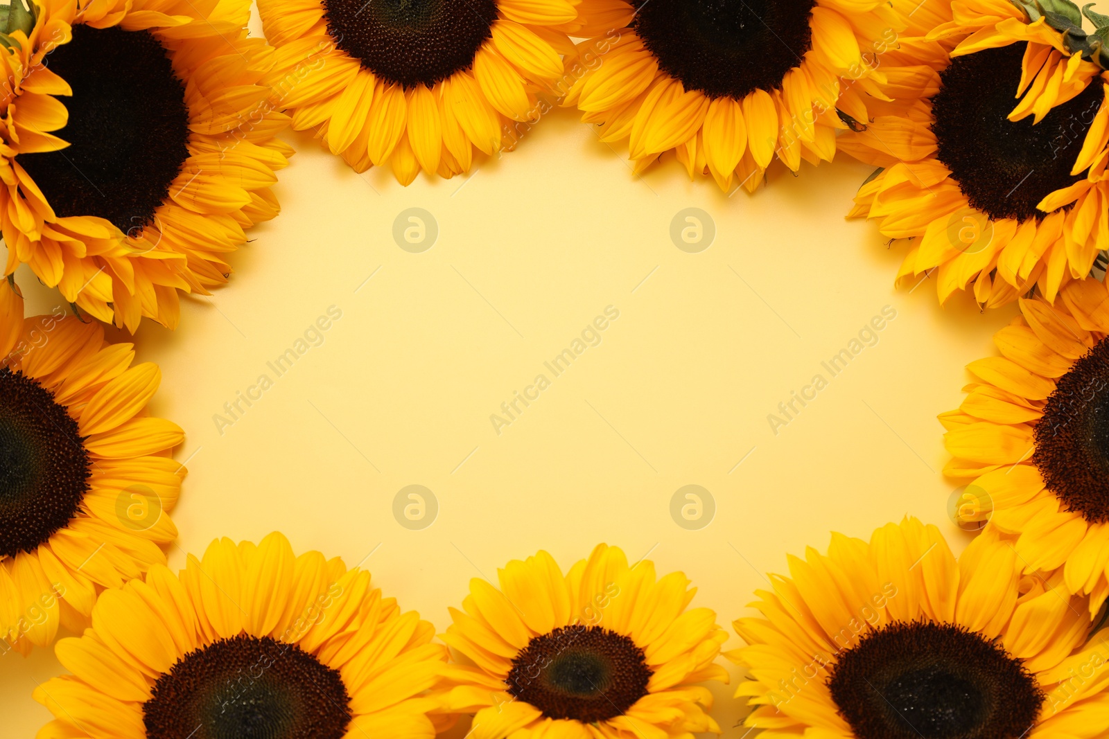 Photo of Frame made of sunflower heads on yellow background, flat lay. Space for text