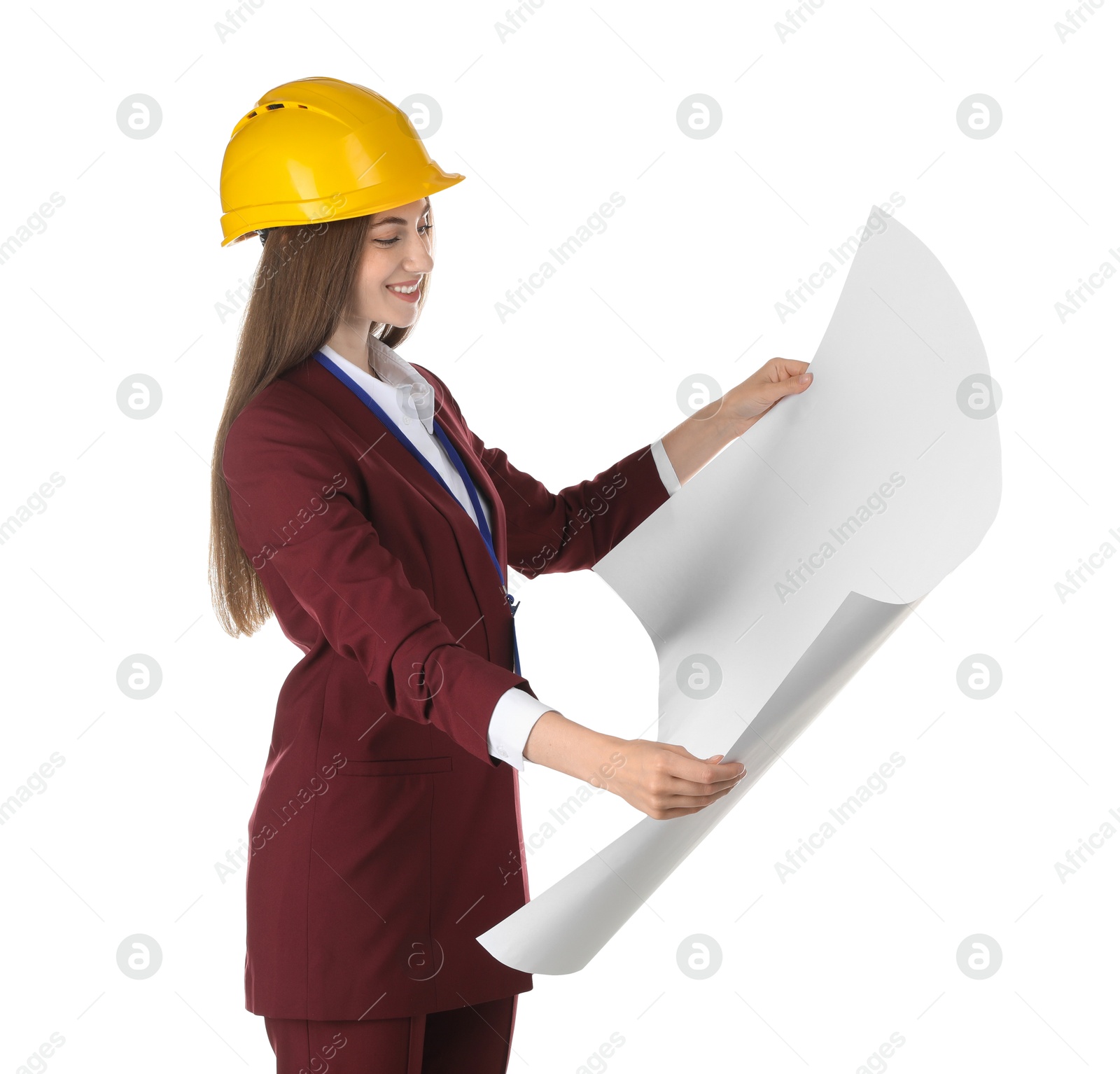 Photo of Engineer in hard hat with draft on white background