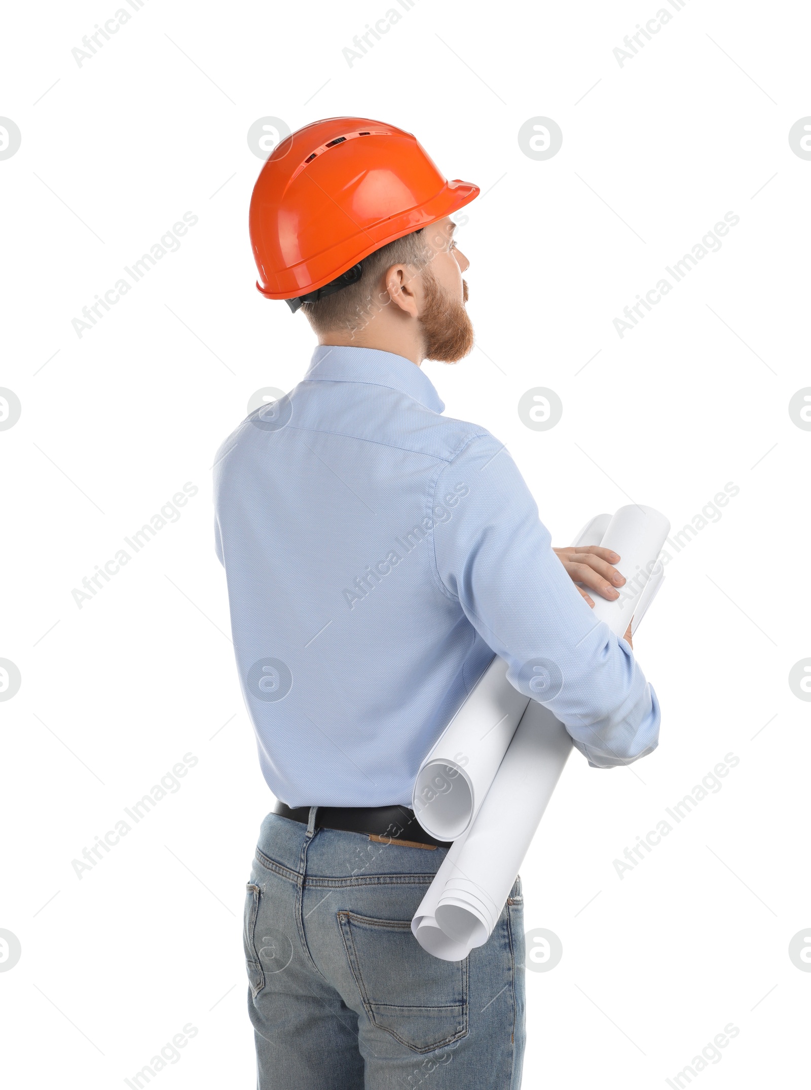 Photo of Engineer in hard hat with drafts on white background