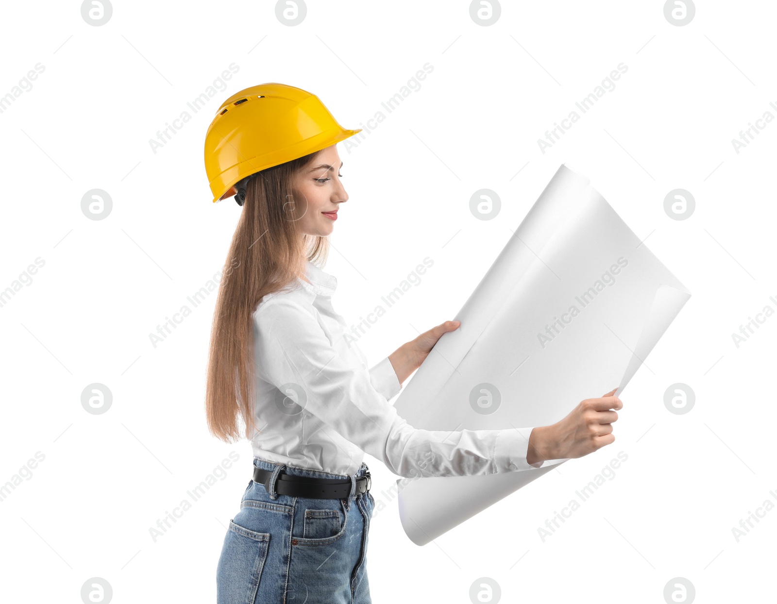 Photo of Engineer in hard hat with draft on white background