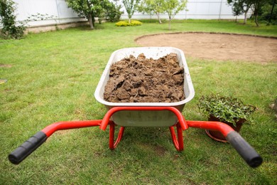 Wheelbarrow with soil on green grass outdoors