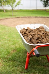 Photo of Wheelbarrow with soil on green grass outdoors, closeup