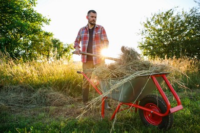 Photo of Farmer working with wheelbarrow full of mown grass outdoors