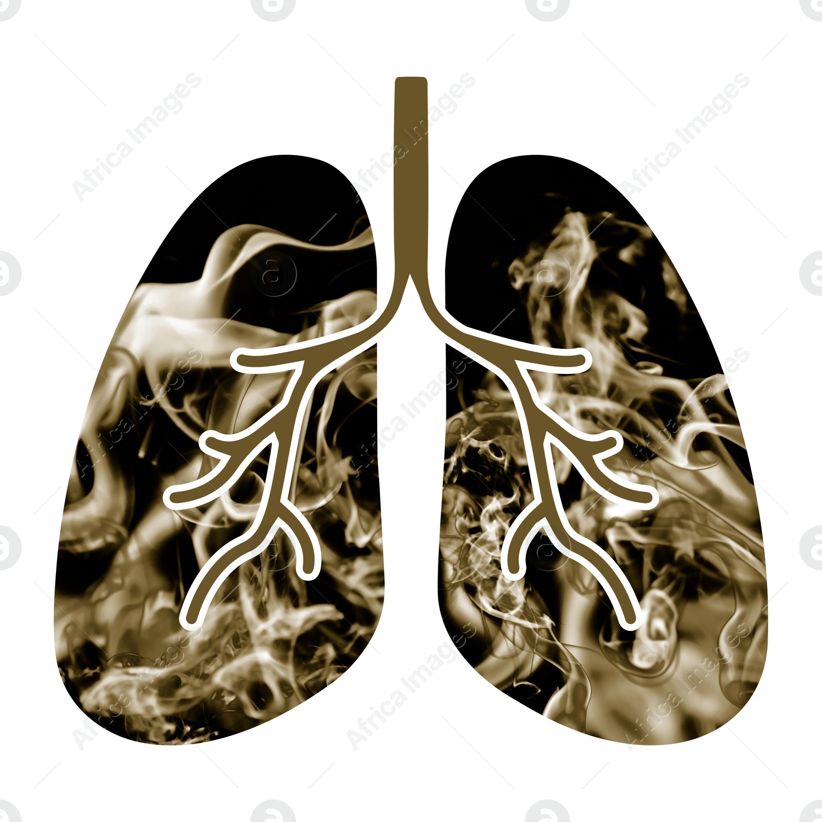 Image of Illustration of lungs with smoke on white background