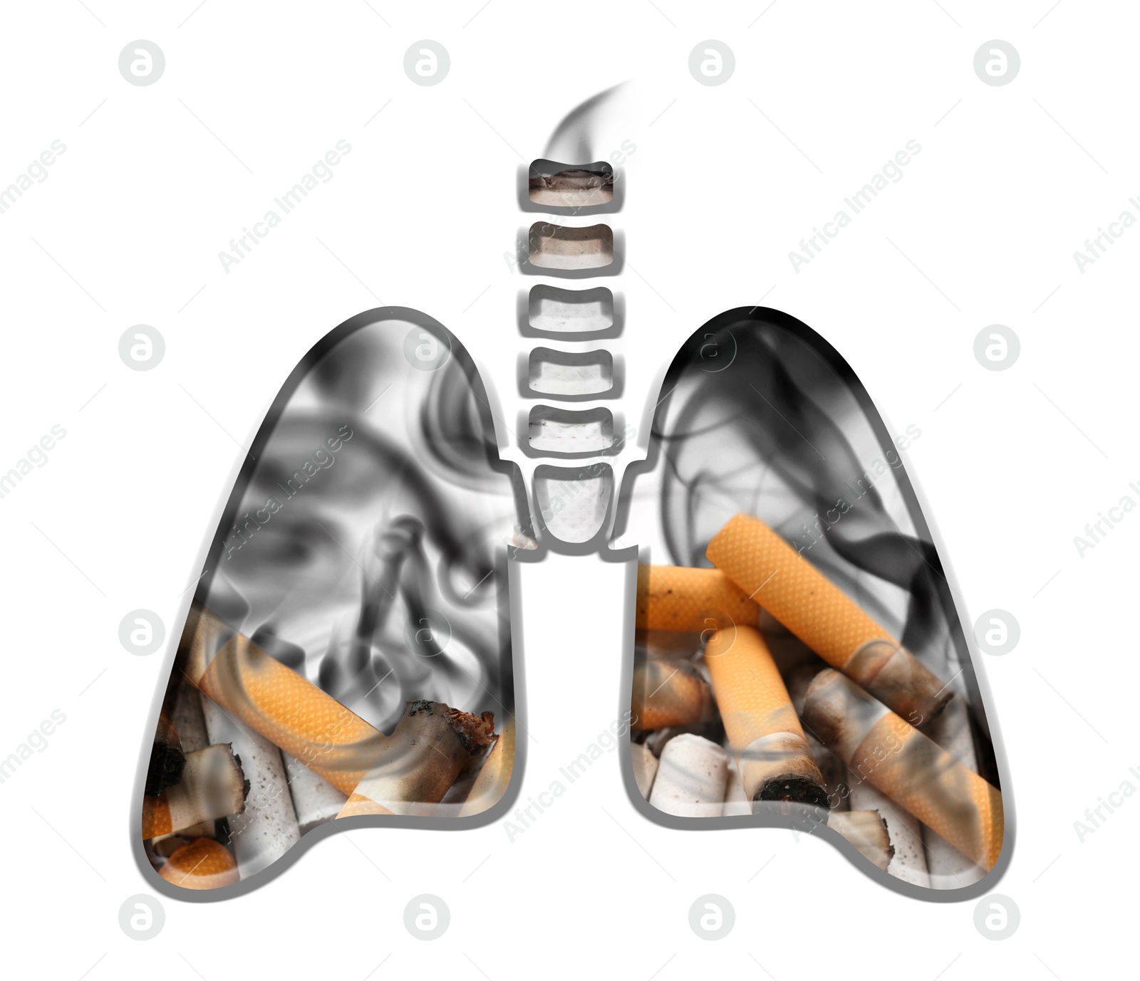 Image of Illustration of lungs with cigarette butts on white background