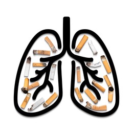 Image of Illustration of lungs with cigarette butts on white background