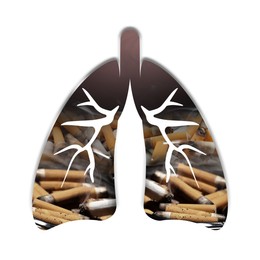 Image of Illustration of lungs with cigarette butts on white background