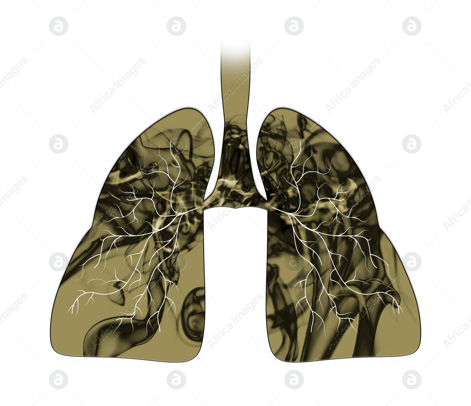 Illustration of  lungs with smoke on white background