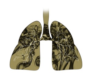 Illustration of  lungs with smoke on white background