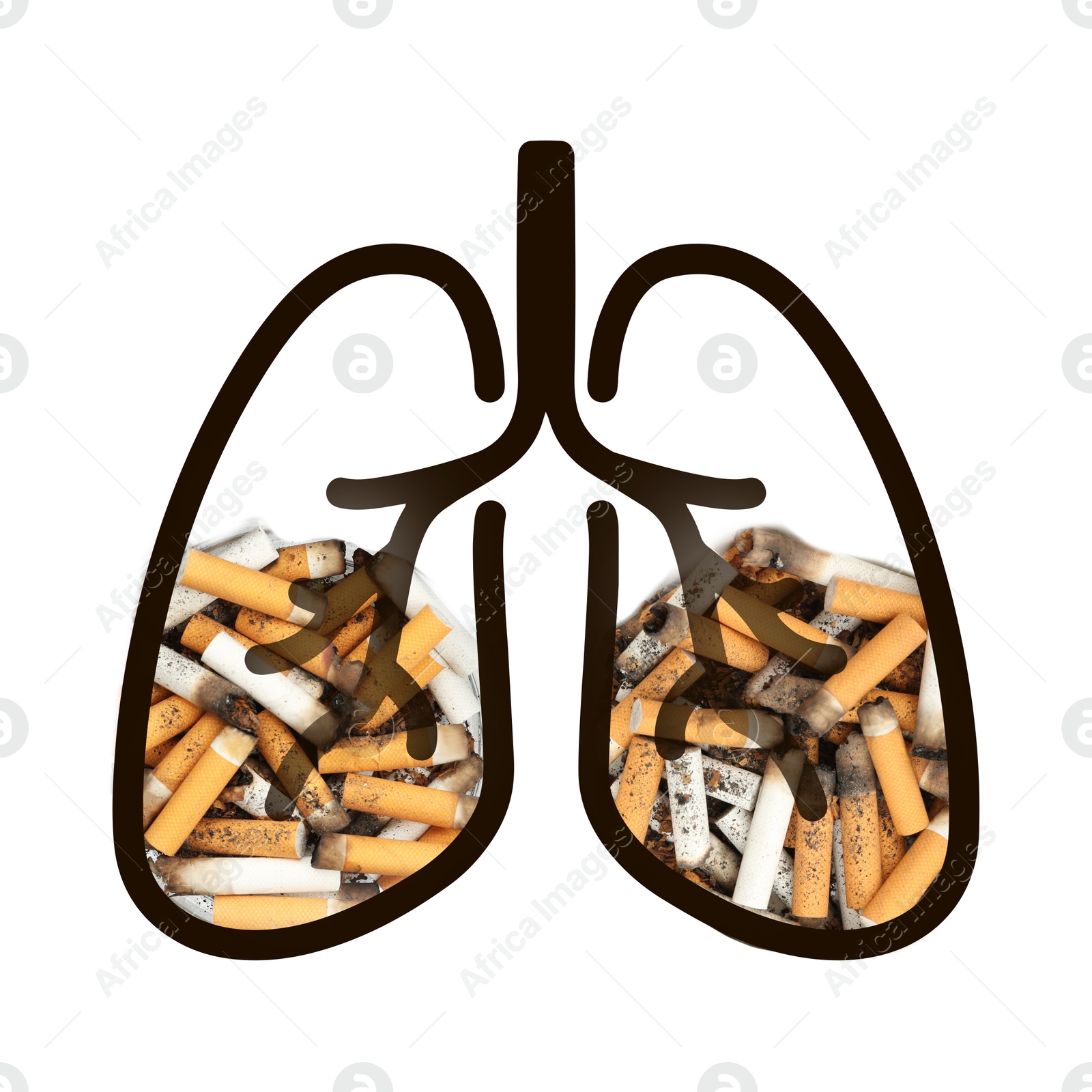 Image of Illustration of lungs with cigarette butts on white background