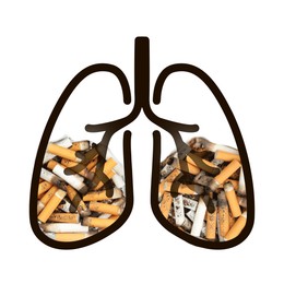 Illustration of lungs with cigarette butts on white background