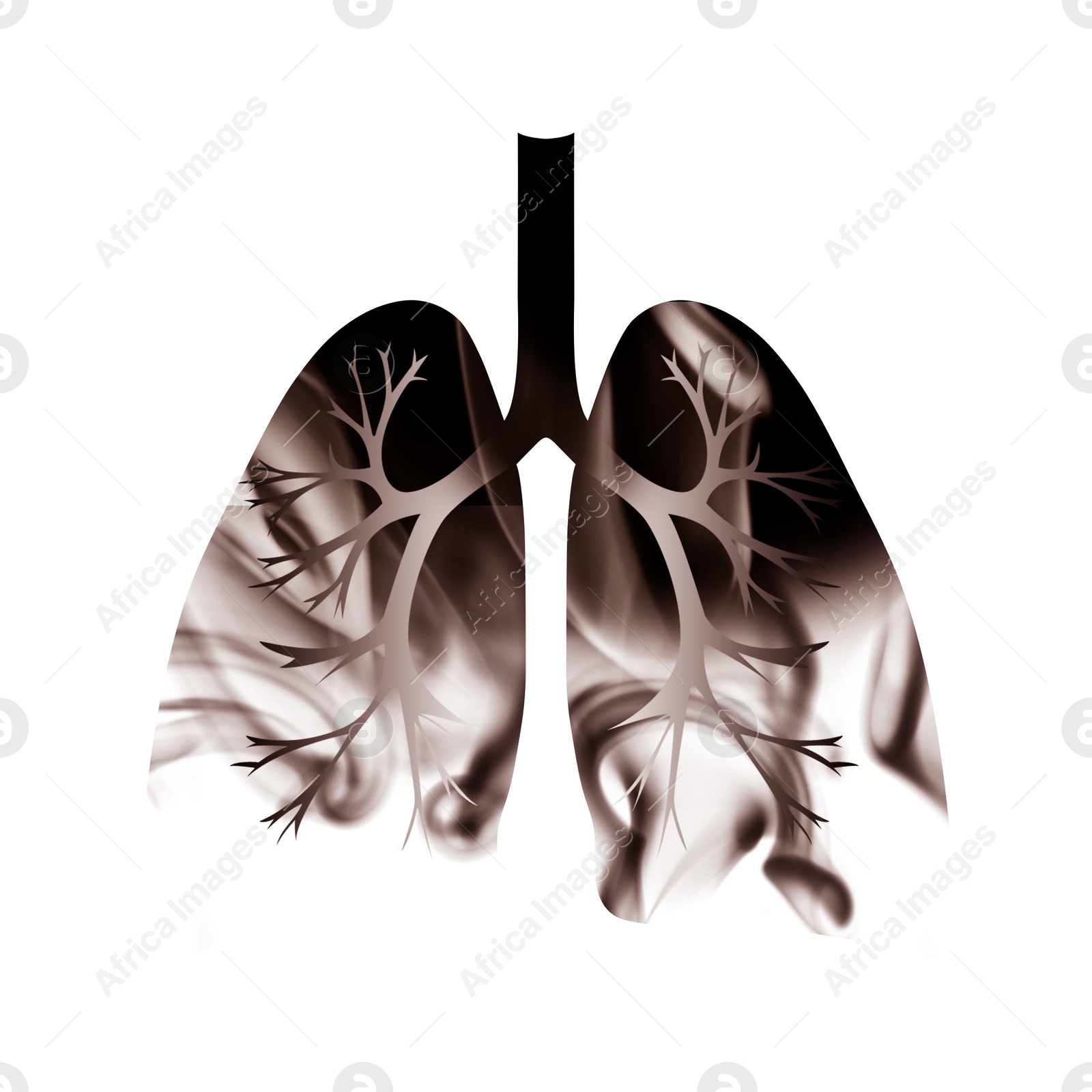 Image of Illustration of lungs with smoke on white background