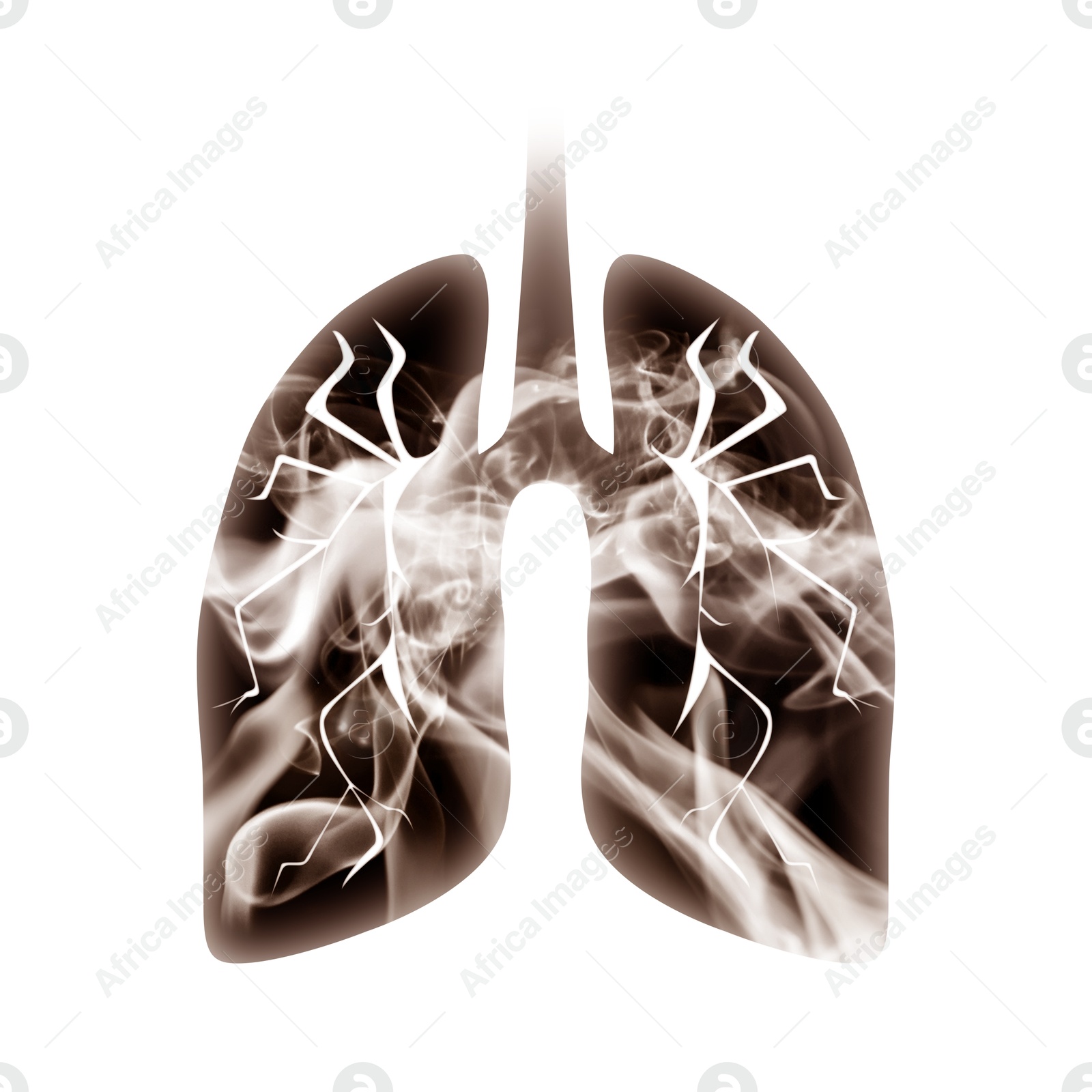 Illustration of  lungs with smoke on white background