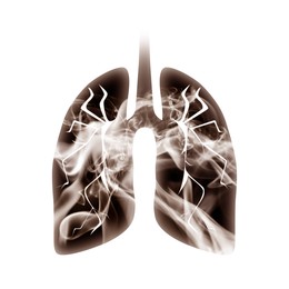 Illustration of  lungs with smoke on white background